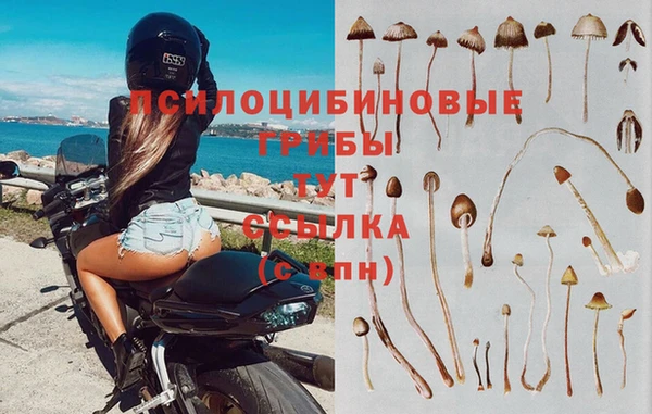 эйфоретик Майский