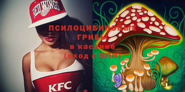 эйфоретик Майский