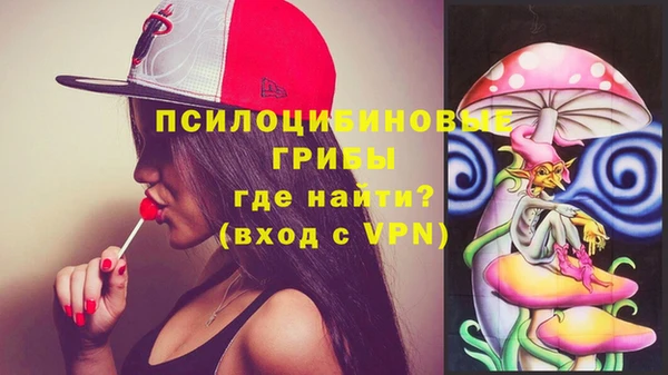 эйфоретик Майский