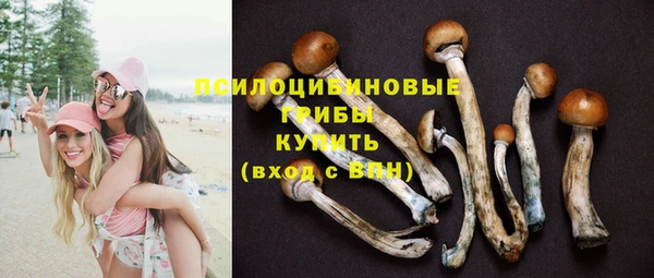 MDMA Premium VHQ Магадан