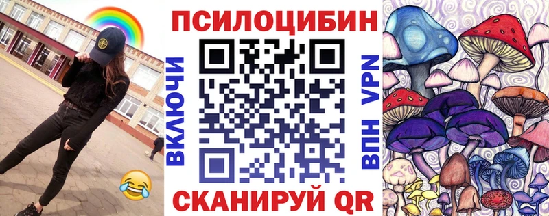 OMG как войти  Зуевка  Псилоцибиновые грибы Magic Shrooms 